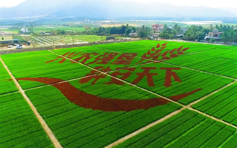 公司簡介